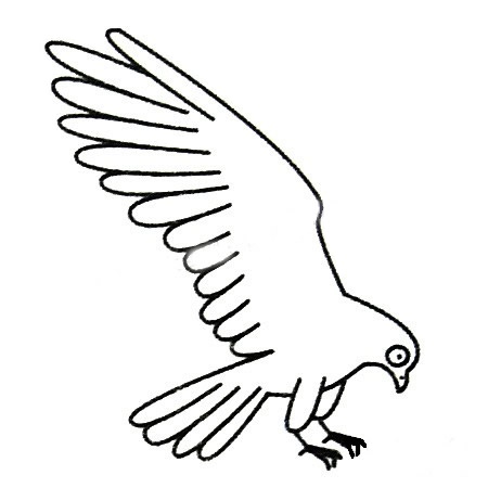 三步画一只简单的老鹰