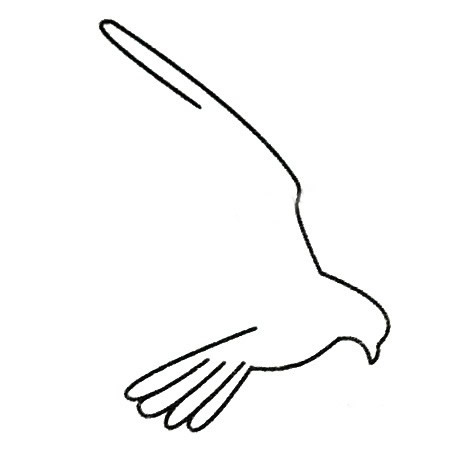 三步画一只简单的老鹰