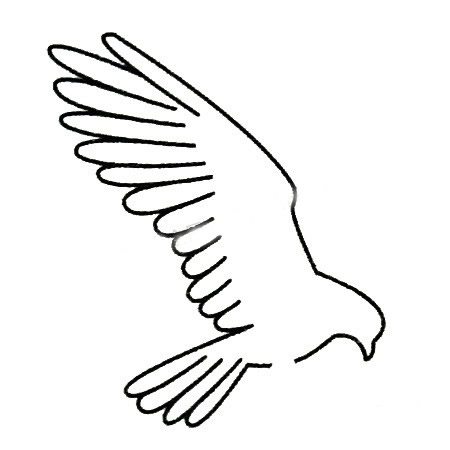 三步画一只简单的老鹰