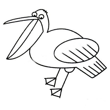 三步教你画简单的鹈鹕