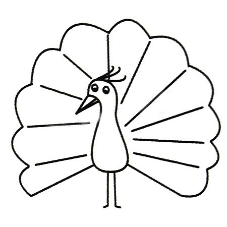 三步学会画简单的孔雀