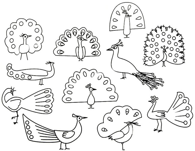 三步学会画简单的孔雀