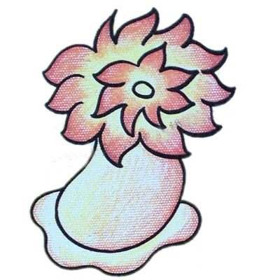 涂色的海葵简笔画步骤教程