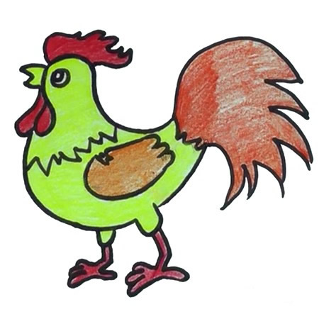 彩色的大公鸡简笔画教程 彩色的大公鸡简笔画教程