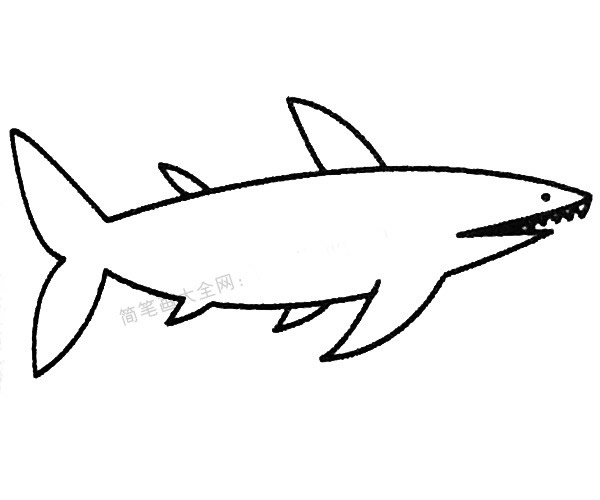 13款关于鲨鱼的简笔画大全