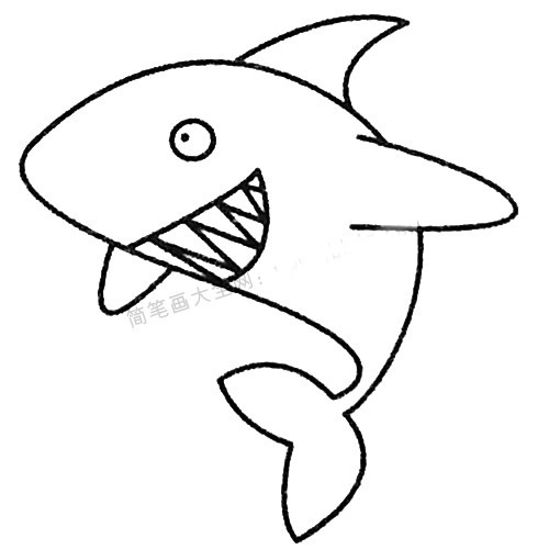 13款关于鲨鱼的简笔画大全