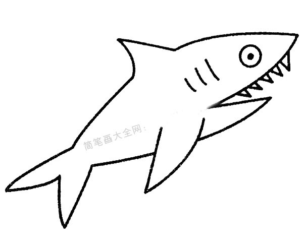 13款关于鲨鱼的简笔画大全