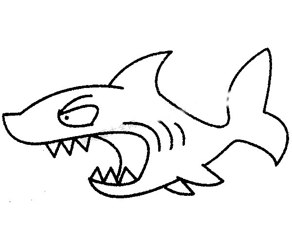 13款关于鲨鱼的简笔画大全