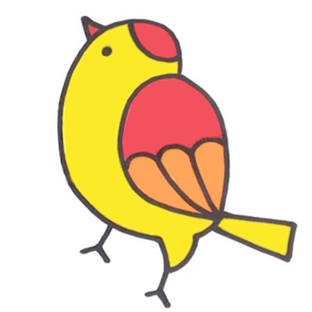 涂色的黄雀简笔画教程