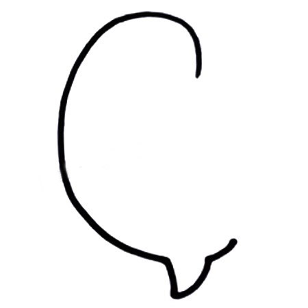 涂色的黄雀简笔画教程