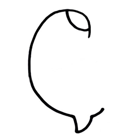 涂色的黄雀简笔画教程