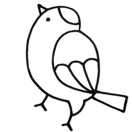 涂色的黄雀简笔画教程