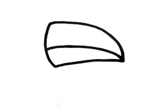 涂色的啄木鸟简笔画教程