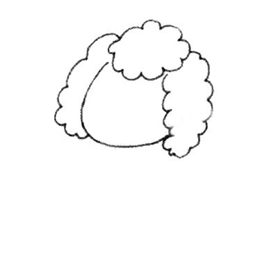 涂色的贵宾犬简笔画教程