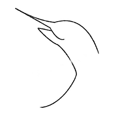 一步步教你画简单的剑鱼 一步步教你画简单的剑鱼