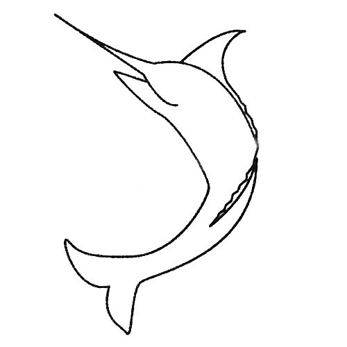 一步步教你画简单的剑鱼 一步步教你画简单的剑鱼