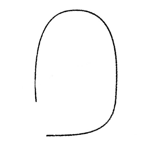 简单的海象怎么画