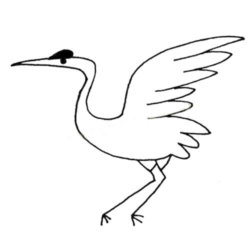 展开翅膀的丹顶鹤简笔画