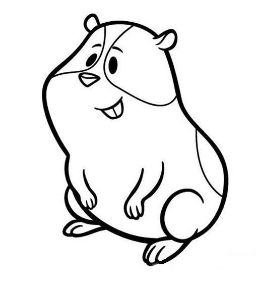 卡通豚鼠简笔画