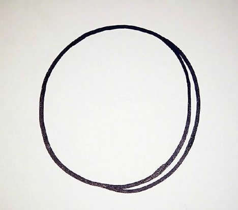 彩色的乌龟简笔画教程 彩色的乌龟简笔画教程