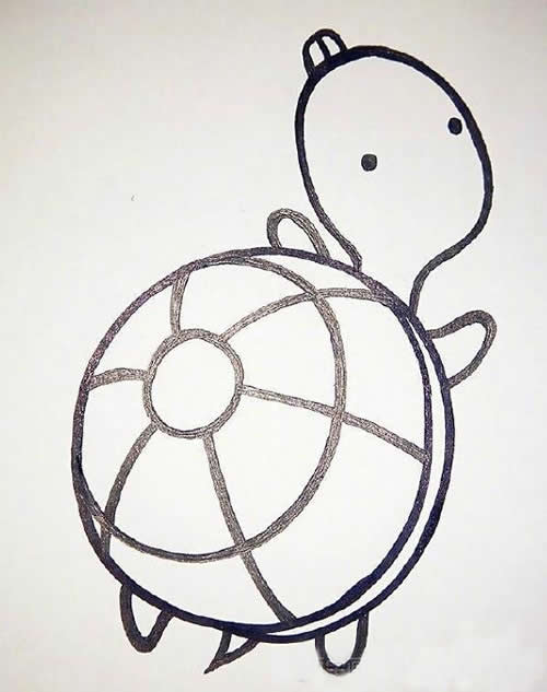 彩色的乌龟简笔画教程 彩色的乌龟简笔画教程