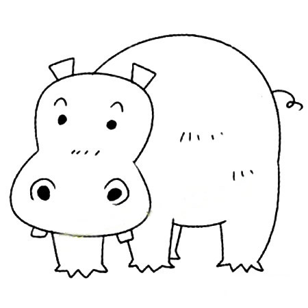 河马怎么画 4步教你画简单的河马