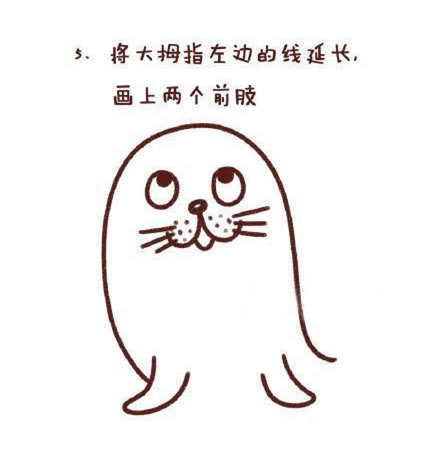 可爱涂色的海豹简笔画教程