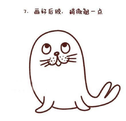 可爱涂色的海豹简笔画教程