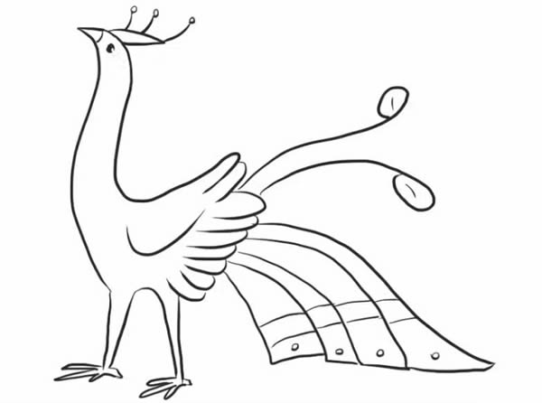 高傲的孔雀简笔画教程