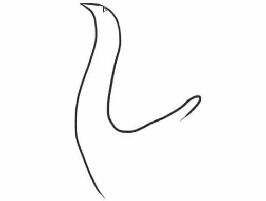 高傲的孔雀简笔画教程