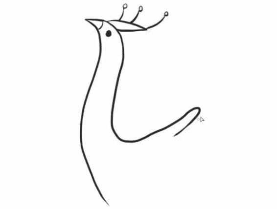 高傲的孔雀简笔画教程