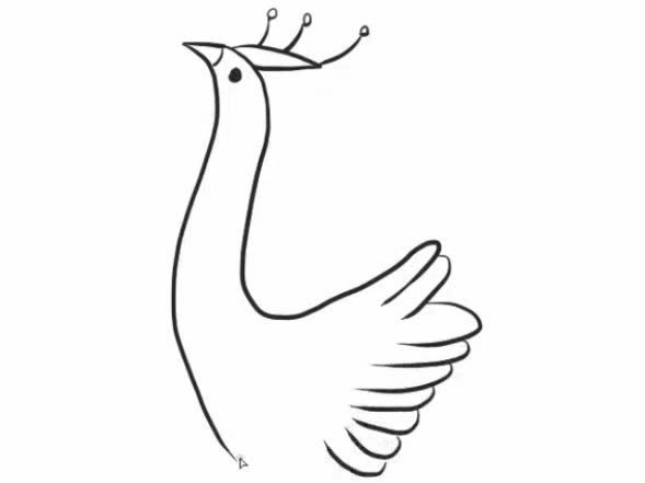 高傲的孔雀简笔画教程
