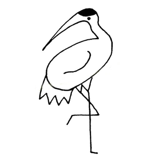 栖息的丹顶鹤简笔画