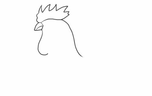 大公鸡简笔画步骤教程