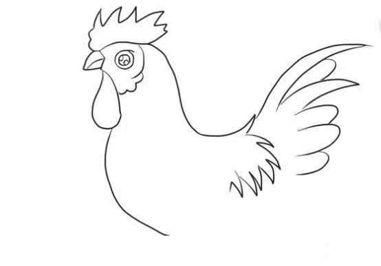 大公鸡简笔画步骤教程