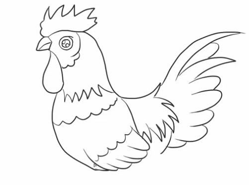 大公鸡简笔画步骤教程
