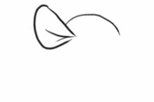 开心的袋鼠妈妈和宝宝简笔画