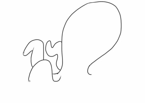 卡通乌贼王简笔画步骤教程