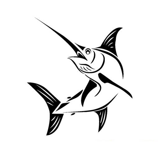 关于马林鱼的简笔画