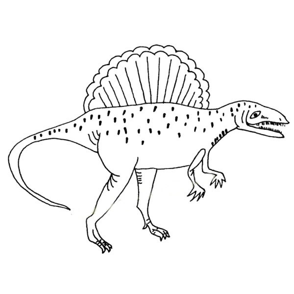 帅气的棘龙简笔画