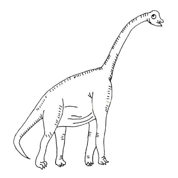 长脖子腕龙简笔画