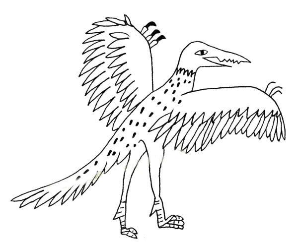 煽动翅膀的翼龙简笔画