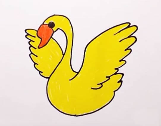 涂色的天鹅简笔画步骤