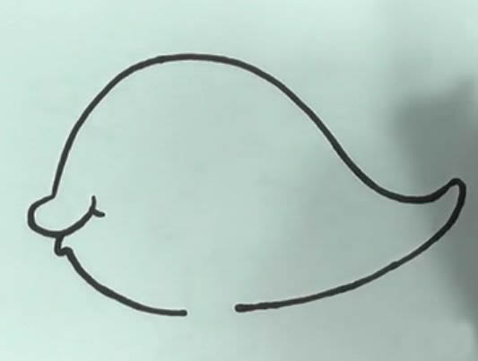 带颜色的可爱金鱼简笔画教程