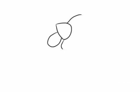 胖嘟嘟的母鸡简笔画教程