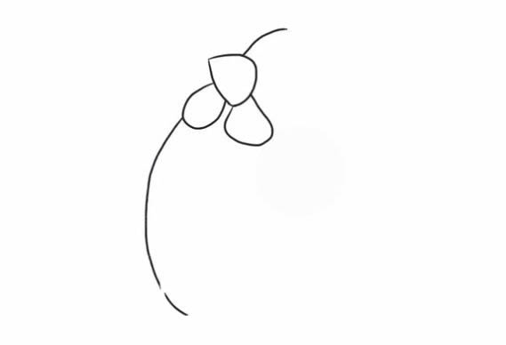 胖嘟嘟的母鸡简笔画教程