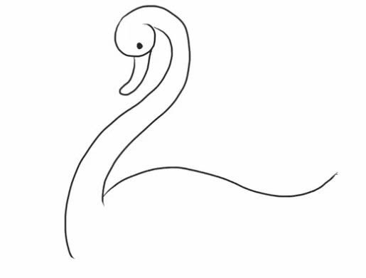 水中的白天鹅简笔画教程