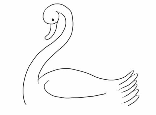 水中的白天鹅简笔画教程
