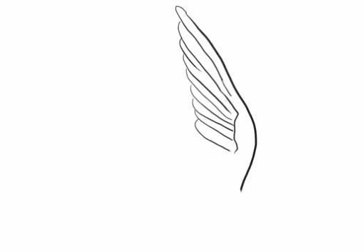 自由飞翔的小燕子简笔画教程