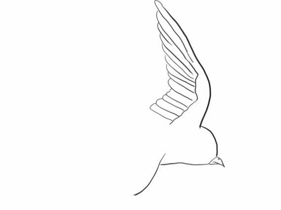 自由飞翔的小燕子简笔画教程